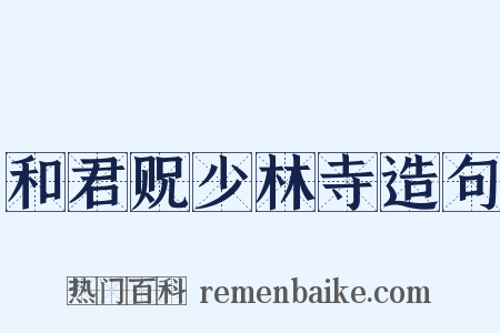 和君贶少林寺造句是什么意思的图片